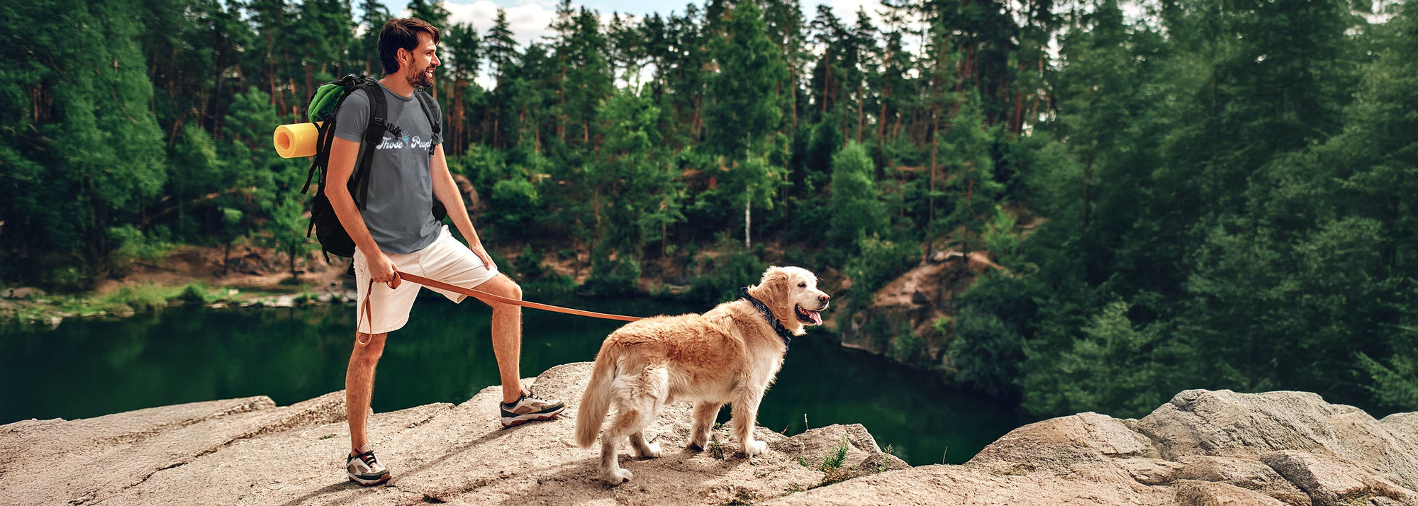 One Dog Walk Collection